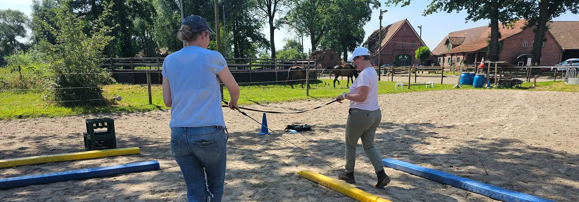 Kurs für Equikinetic® bei Jenny Winter