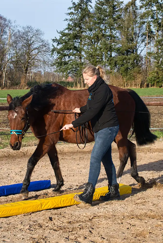 Einzeltraining mit Jenny Winter