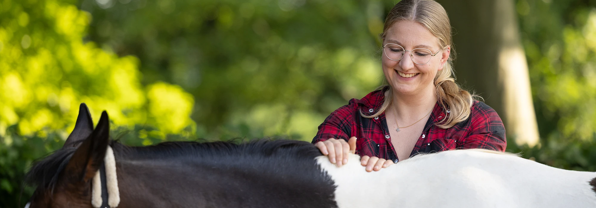 Jenny Winter wendet Rehatraining nach Katrin Obst beim Pferd an
