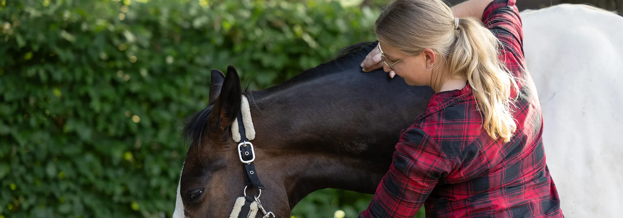 Jenny Winter massiert einem Pferd den Nacken