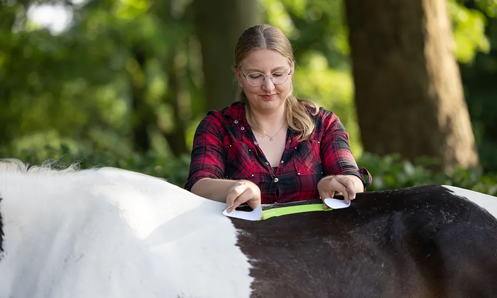 Rehatraining nach Verletzung
