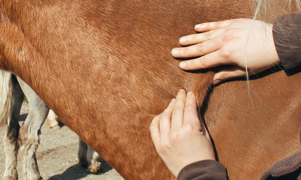 Gezielte Dehnung bei Verspannungen